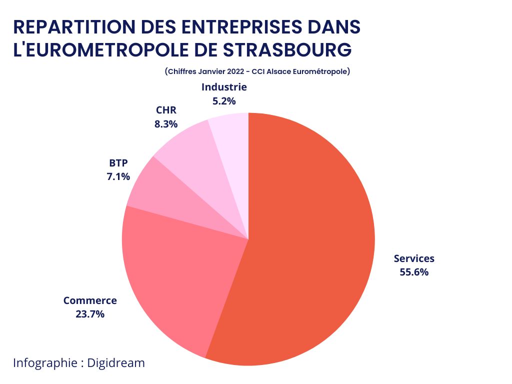 graphique répartition des entreprises de Strasbourg par secteur d’activité - Digidream