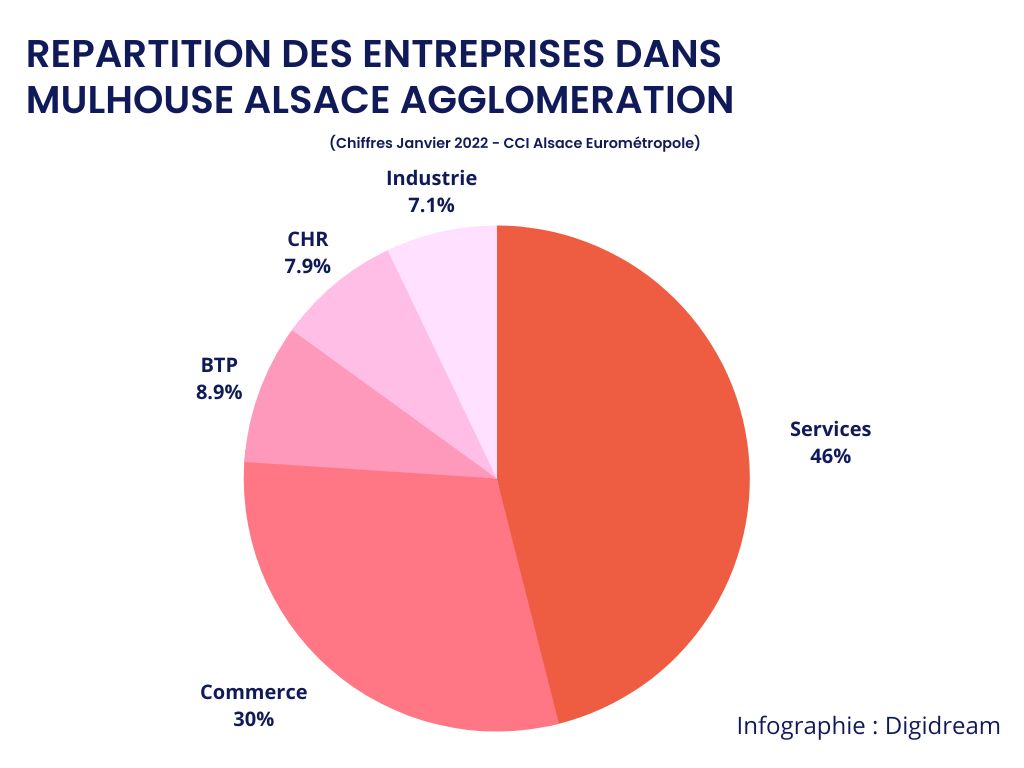 graphique-repartition-secteur-activite-entreprises-mulhouse-alsace-agglomération-digidream graphique répartition des entreprises de Mulhouse et son agglomération par secteur d’activité - Digidream