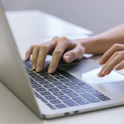 Référencement local paysagiste - DIGIDREAM